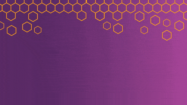 Wise Email Header Motion Graphic